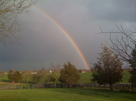 Rainbow from our backyard