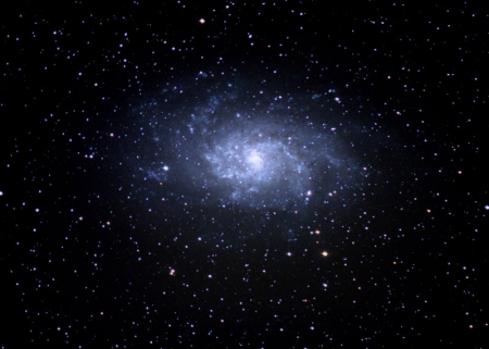 M33