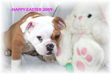 Happy Easter 2009