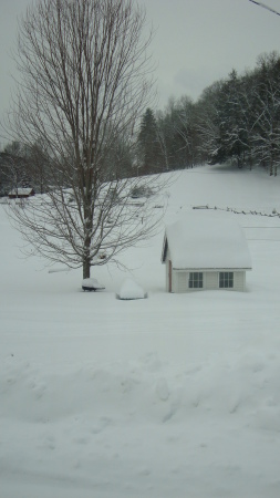 Feb 09 view out of our window