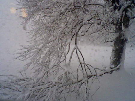 0206101254SNOW