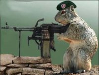 n719997264_7283SQUIRRELGUNNER