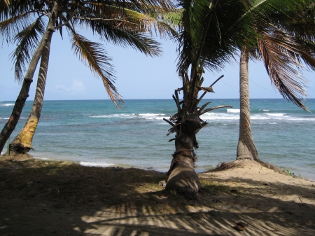 Beach by my Parents house.