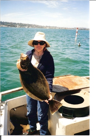 Susans california halibut