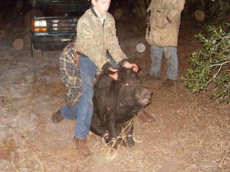 Colton and the Boar