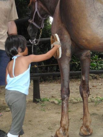 Daughter grooming horse.