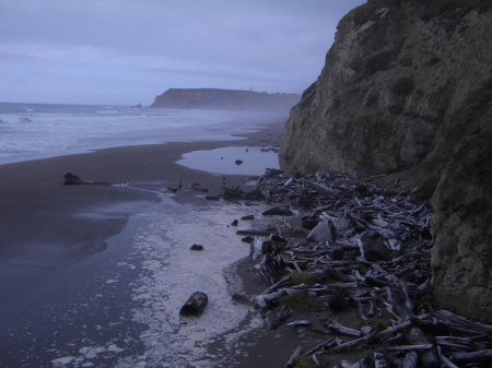 Oregon coast