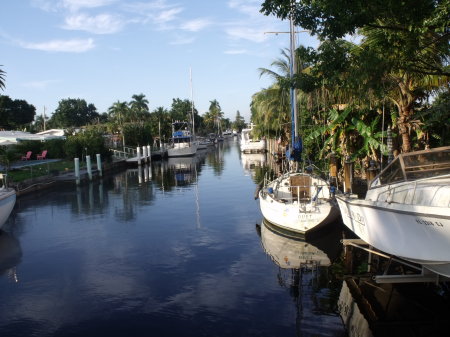 Canal behind sister's house in Ft. Lauderdale