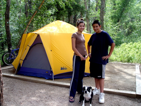 Em, Eli, & Rockwell (My Boston Terrier)