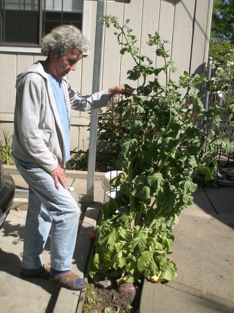 My Mom and her Giant Radish