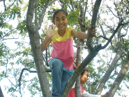 Sophia in the tree at Johns