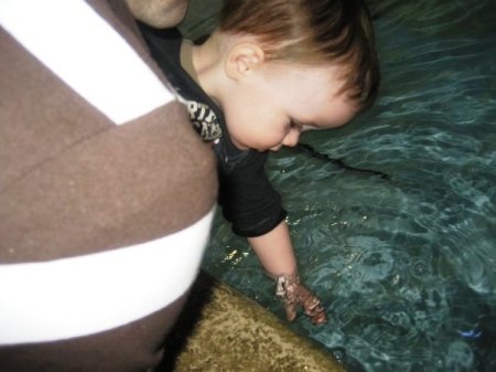 Dylan and the Stingrays