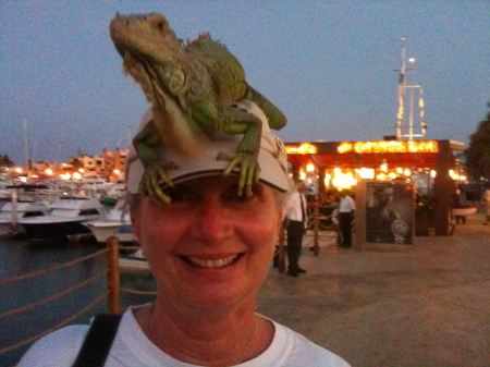 Susan in Cabo with an Iguana on her head.