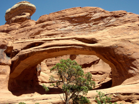 Tower Arch, Arches N.P.