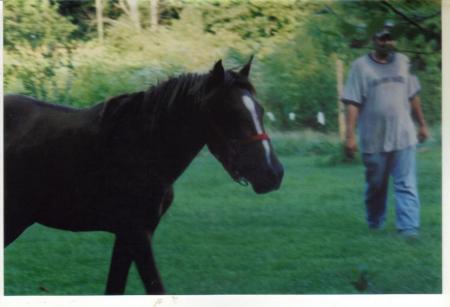 2009 Aug Our Jake (appaloosa quarter horse 006