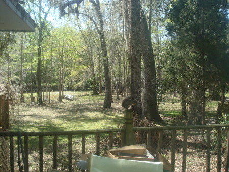 back porch/deer stand