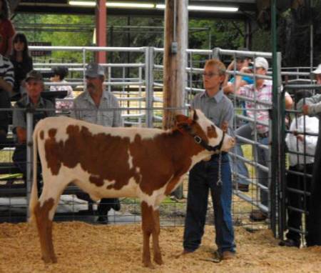 Devan my youngest son  showing his calf