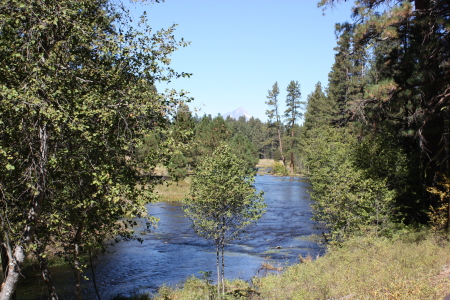 metolius river begains