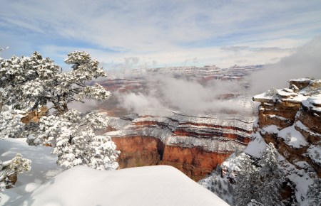 Grand Canyon 2010