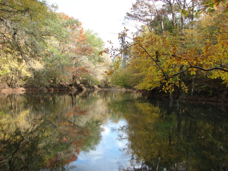 Chipola River in the panhandle of Fl.