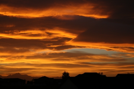 Do, Do, Do, Lookin' Out my back door!