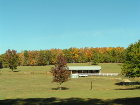 Fall at the Byrd farm