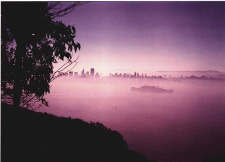 Alcatraz from Angel Island