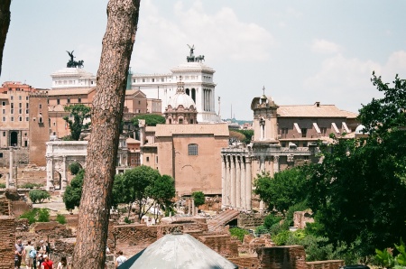 On the hill Foro Romano