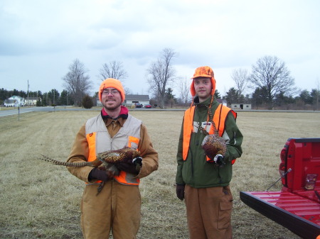 Pheasant hunting