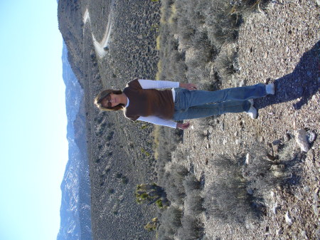 nevada 2009