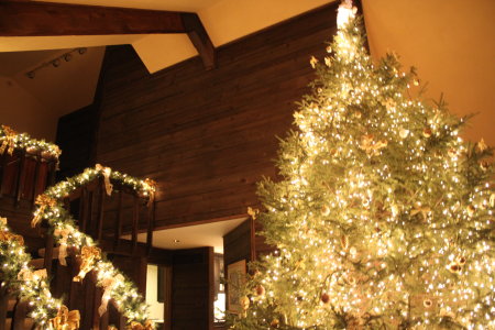 our 15 foot real Christmas tree and lit stairs