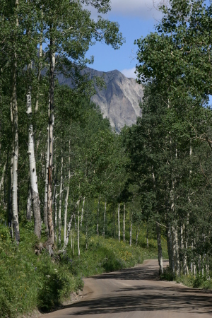 Near Crested Butte