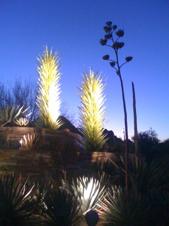 ChiHuly in the desert