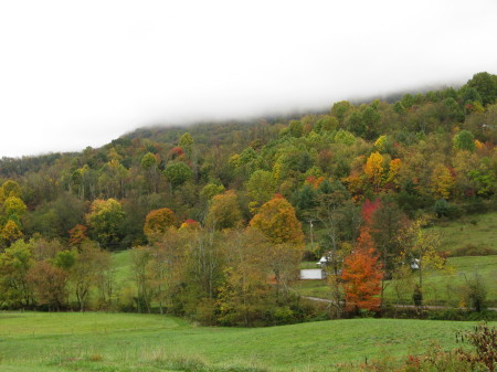 View from my porch in the fall