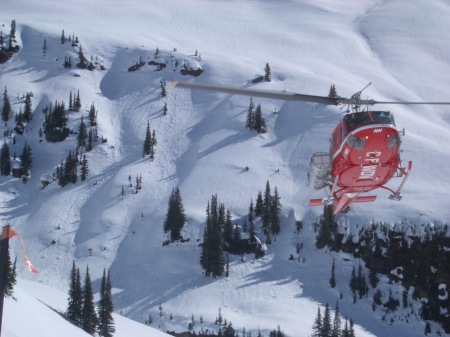 Heli Skiing 2004