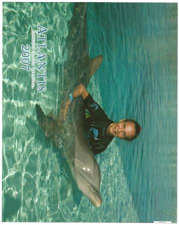 swimming with dolphins