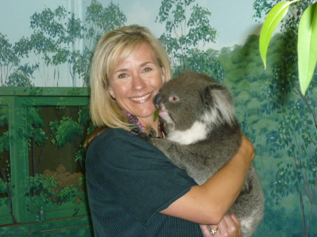 me with koala...