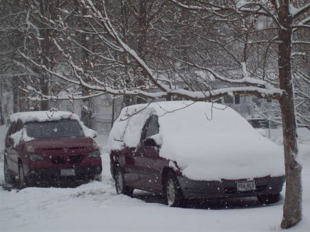 cars buried in freak snow storm
