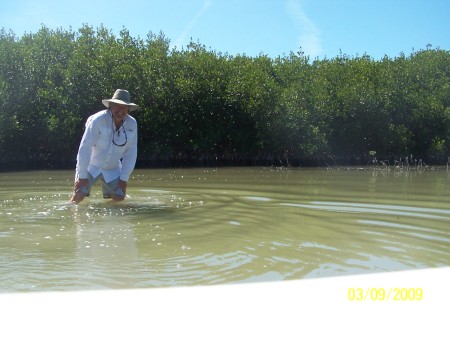 Fishing in the Mangroves