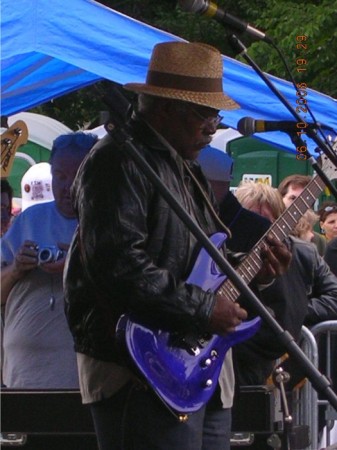 Chicago Blues Festival