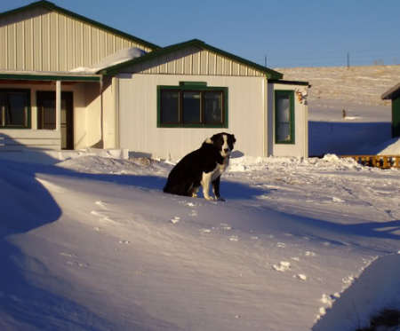 Danny on his snow bank