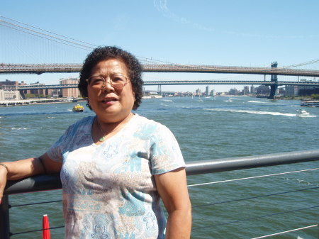 Shirley in New York City