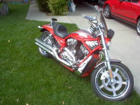 Harley Screamin Eagle V Rod
