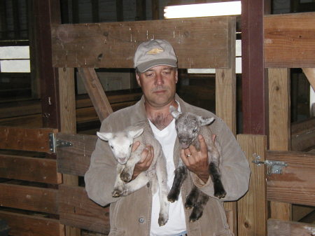 My husband and new lambs