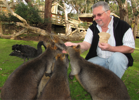 Feeding Wallabies