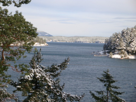 View North 12/22/08 after snow.