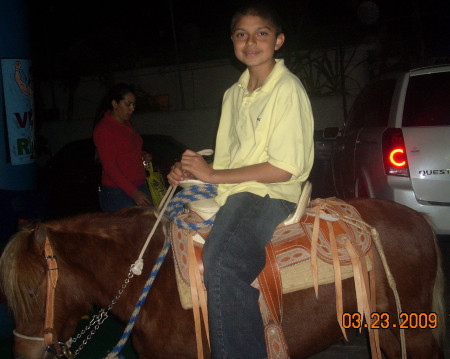 Riding Horses