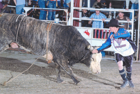 bullfighting pic