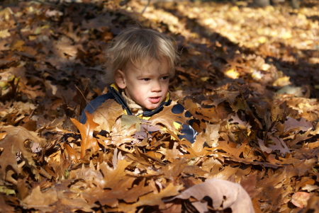 Josh is enjoying a beautiful fall day.