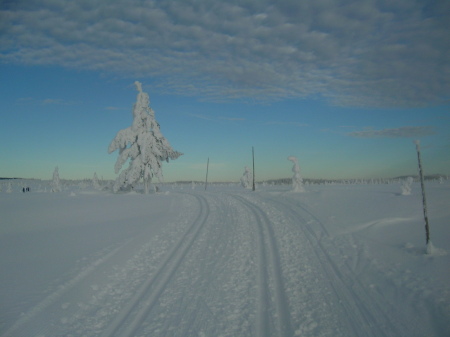 wonderfull ski tracks